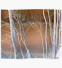 Lake Michigan Through the Trees Poster