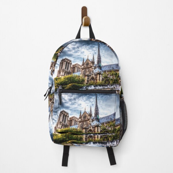 Item preview, Notre Dame de Paris, Dramatic sky designed and sold by Paul Thompson Photography.