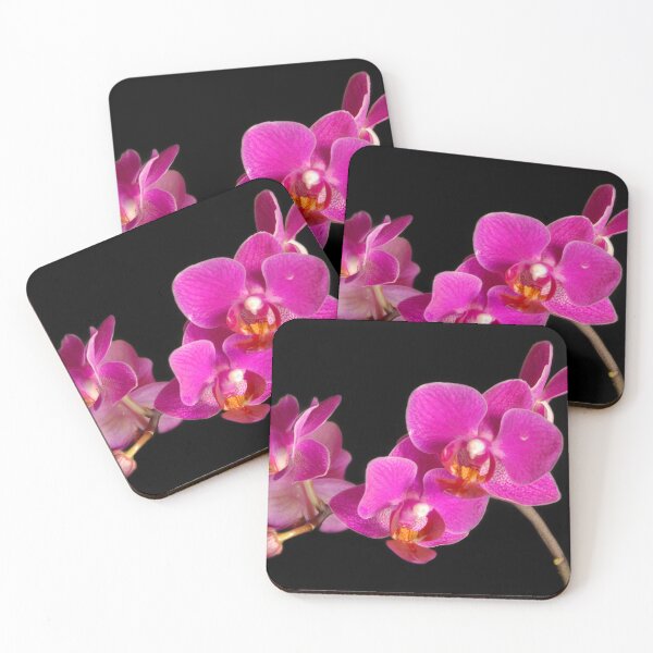 Item preview, Fuchsia Orchid  designed and sold by Alanafinephoto.