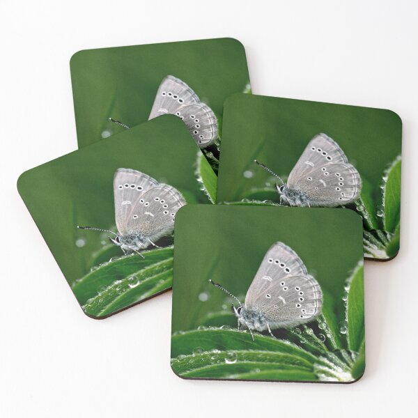 Item preview, Silvery Blue Butterfly designed and sold by Alanafinephoto.