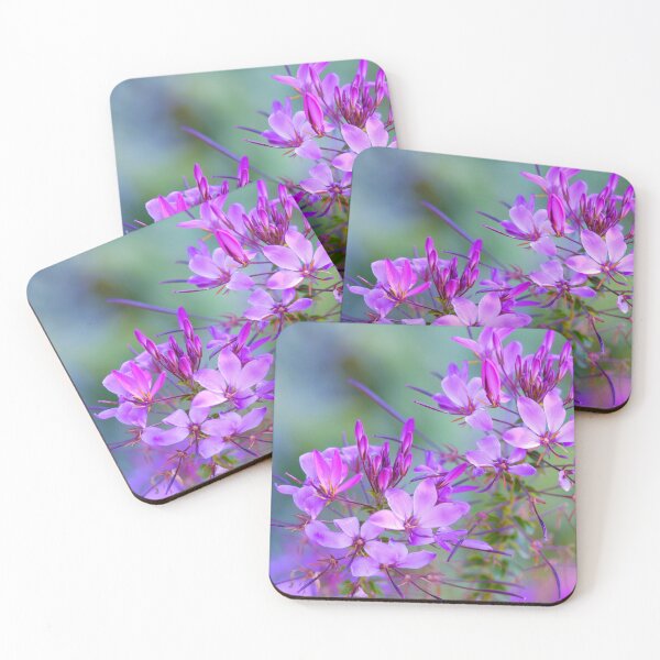 Item preview, Soft Petals  designed and sold by Alanafinephoto.