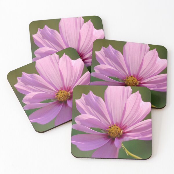 Item preview, Delicate Petals designed and sold by Alanafinephoto.