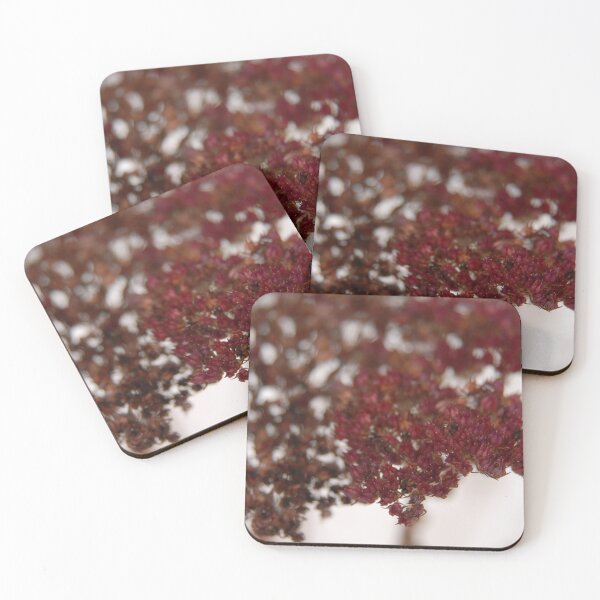 Item preview, Winter Garden designed and sold by Alanafinephoto.