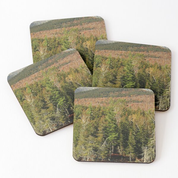 Item preview, Moose at Baxter State Park designed and sold by Alanafinephoto.
