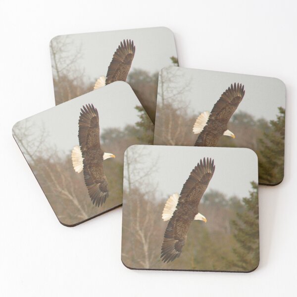 Item preview, Eagle in flight designed and sold by Alanafinephoto.