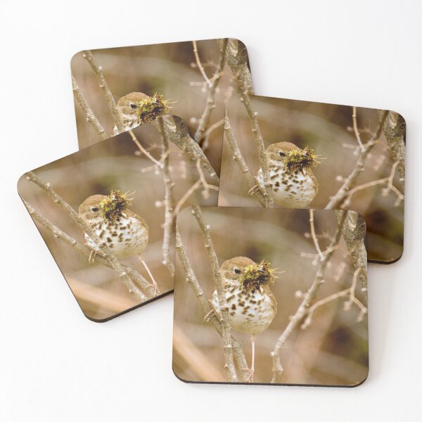 Item preview, Thrush  designed and sold by Alanafinephoto.