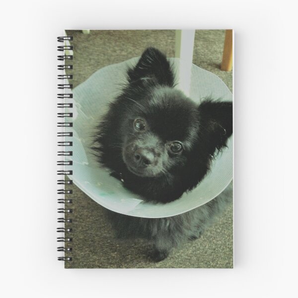 Item preview, Pomeranian Lampshade  designed and sold by JPOempathy.
