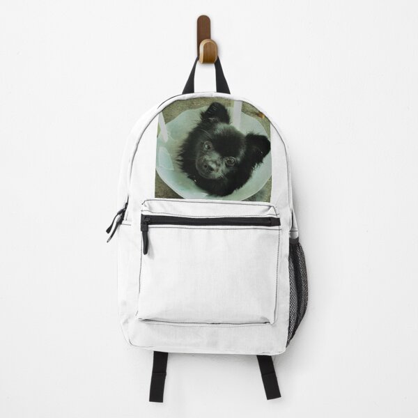 Item preview, Pomeranian Lampshade designed and sold by JPOempathy.