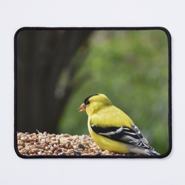 Item preview, A bird at the feeder designed and sold by Claude Laprise.