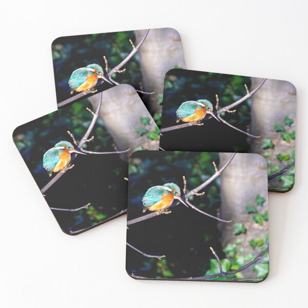 Item preview, Kingfisher hunched against the cold. designed and sold by George Kelsey.