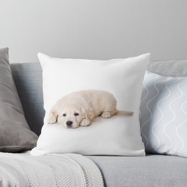 Item preview, Pretty puppy of a golden labrador retriever designed and sold by utekhina.