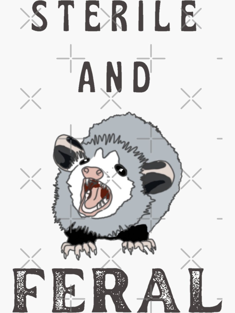 Sterile and feral opossum  Sticker for Sale by Vanissa Berg