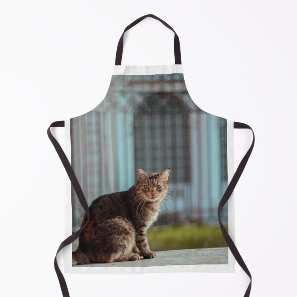 Item preview, cat in rome designed and sold by sbmakker.