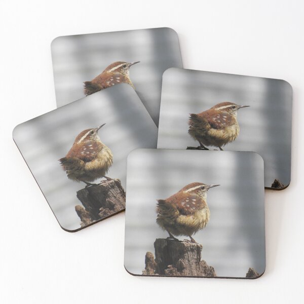 Item preview, Carolina Wren designed and sold by Tonia Delozier's Photography .