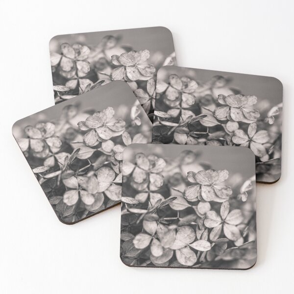 Item preview, Winter's Bouquet in Black and White designed and sold by KEnzPhotography.