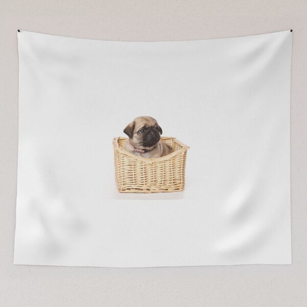 Item preview, Pug puppy in a basket (isolated on white) designed and sold by utekhina.