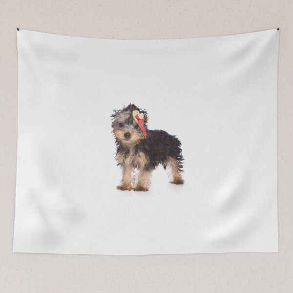 Item preview, Puppy York with bow (isolated on white) designed and sold by utekhina.