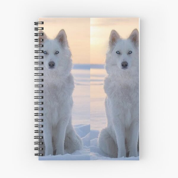 Item preview, Beautiful, White, Wolves sitting in sunset in the snow.  designed and sold by Tiannalaw.