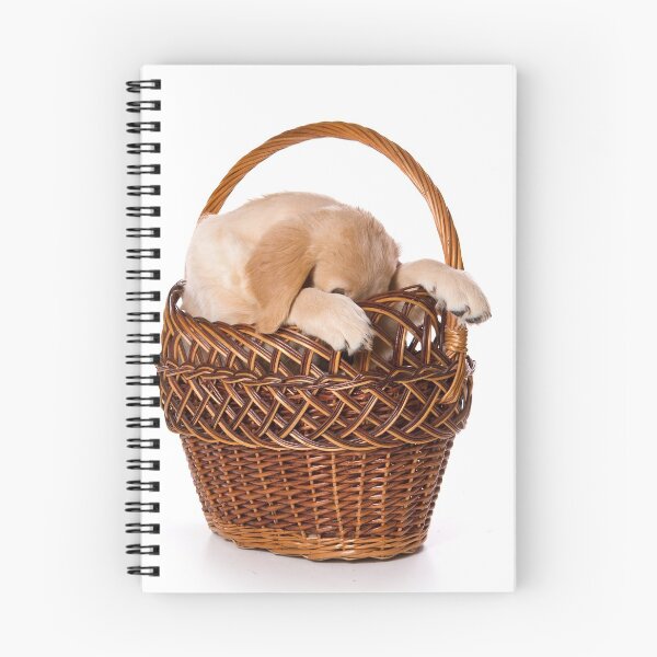 Item preview, Beige labrador puppy in a basket (isolated on white) designed and sold by utekhina.