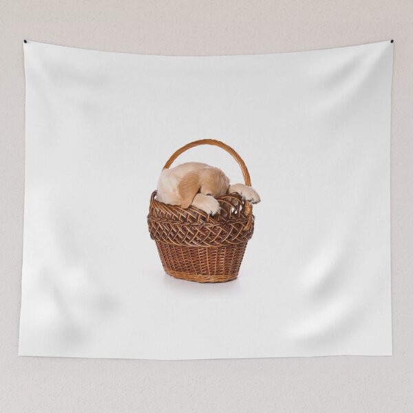 Item preview, Beige labrador puppy in a basket (isolated on white) designed and sold by utekhina.