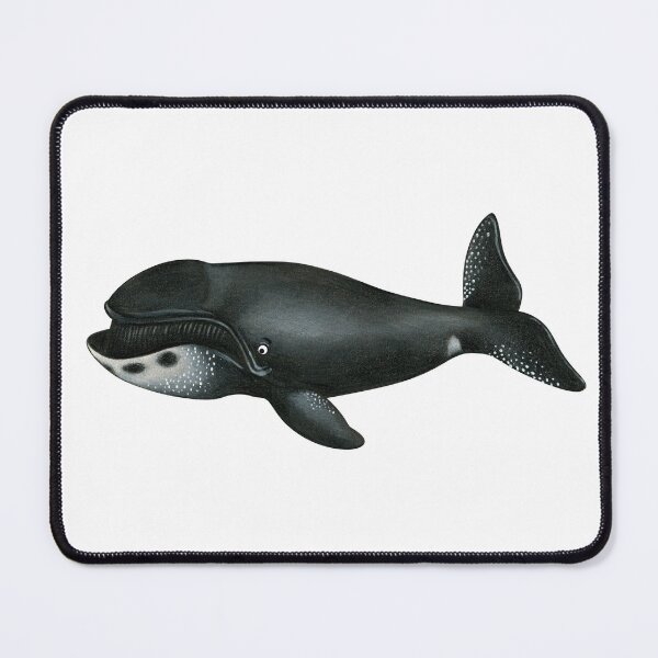 Item preview, bowhead whale designed and sold by Corinna Arauner.