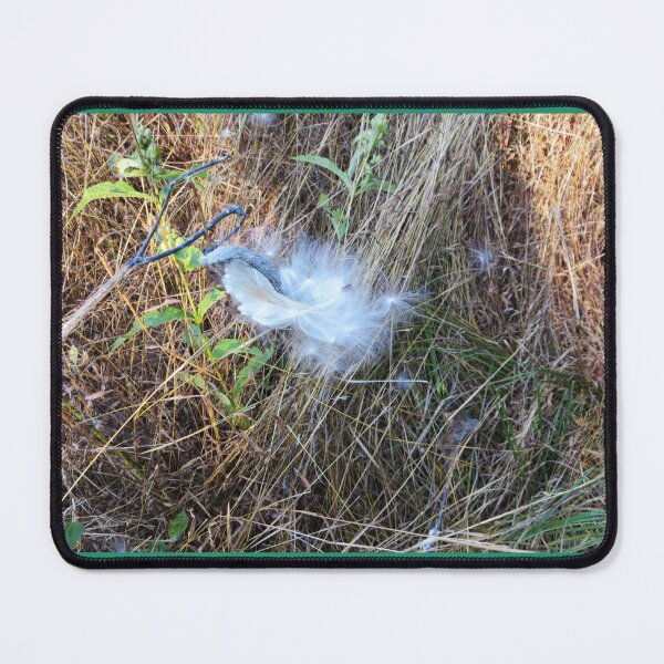 Item preview, Milkweed Pod and Seeds in Meadow - Early Autumn designed and sold by TechLaughs.