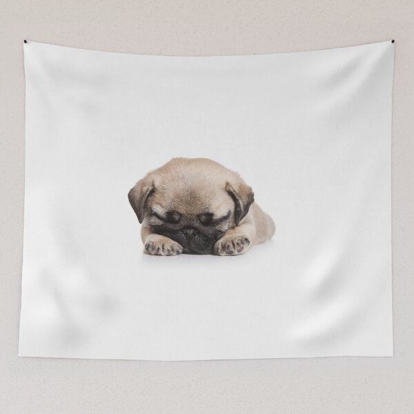 Item preview, Puppy pug (isolated on white) designed and sold by utekhina.