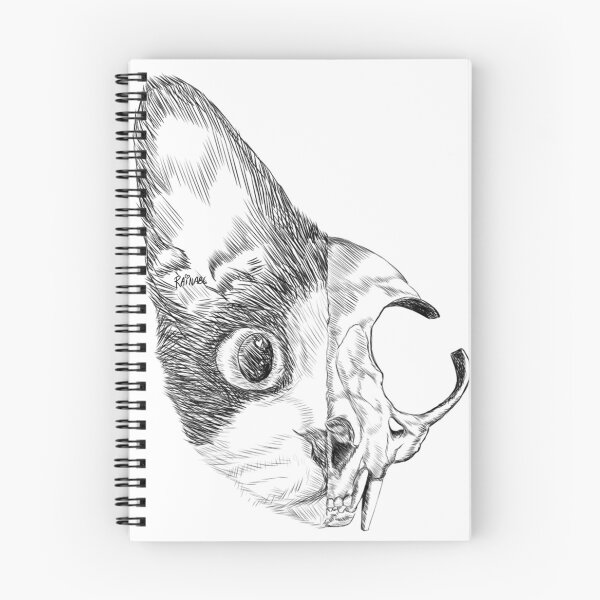 Item preview, Cat Skull designed and sold by rainabc.