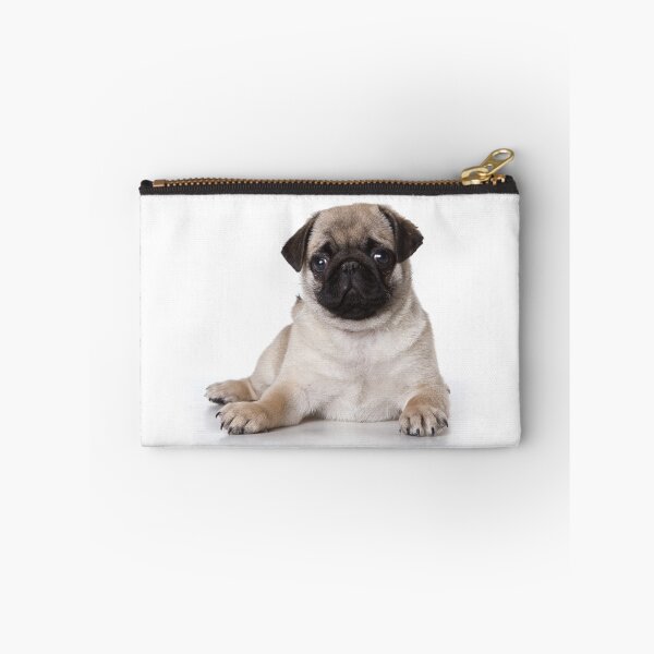 Item preview, pug puppy dog looking at the camera (isolated on white background) designed and sold by utekhina.
