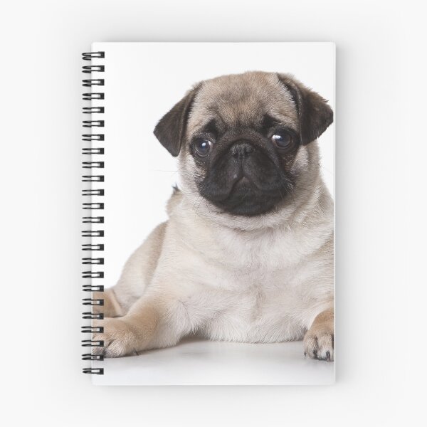 Item preview, pug puppy dog looking at the camera (isolated on white background) designed and sold by utekhina.