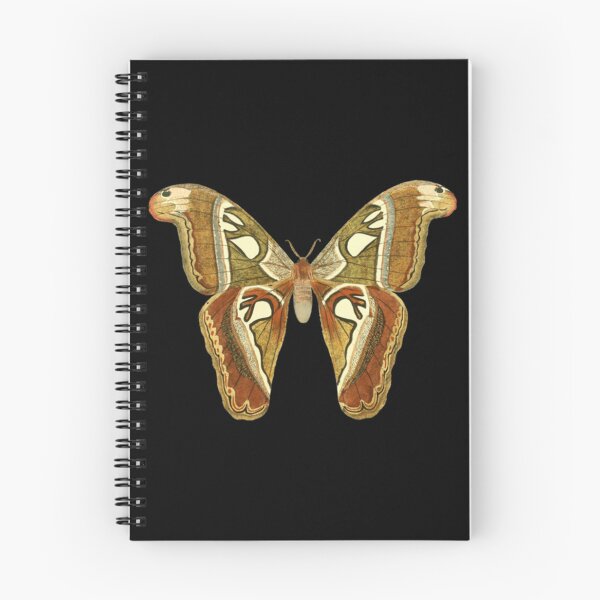 Item preview, Moth     designed and sold by LaughtonGBA.