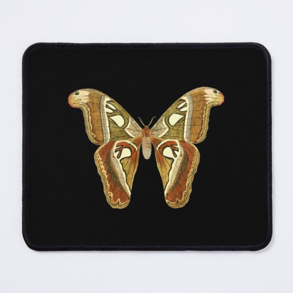 Item preview, Moth designed and sold by LaughtonGBA.