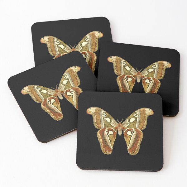 Item preview, Moth     designed and sold by LaughtonGBA.