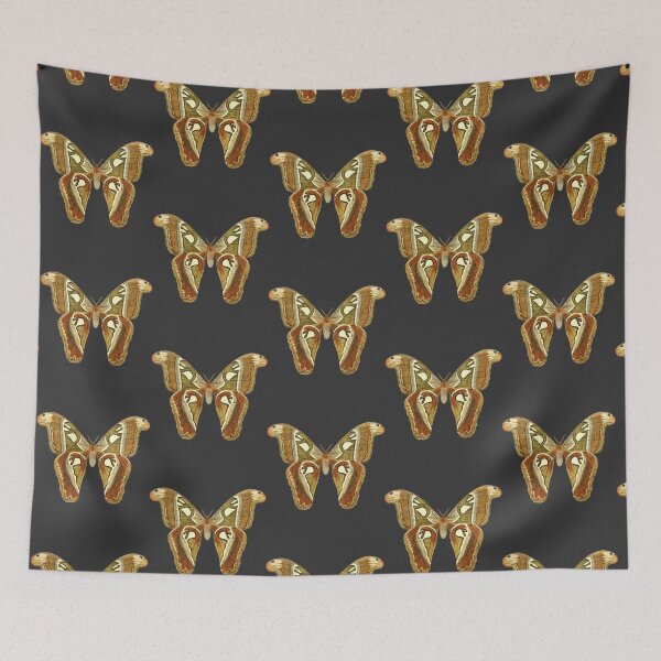 Item preview, Moth     designed and sold by LaughtonGBA.