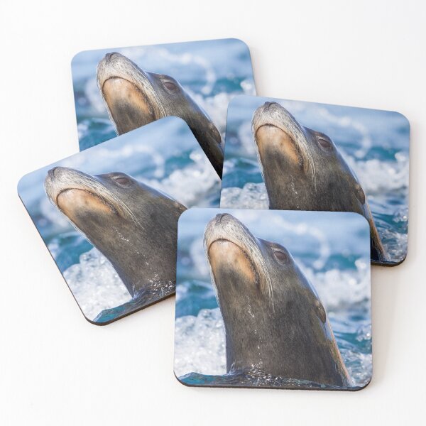 Item preview, Leones marinos haciendo olas designed and sold by LFPPhotography.