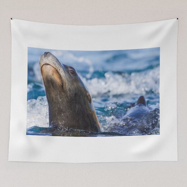 Item preview, Sea Lions Making Waves designed and sold by LFPPhotography.