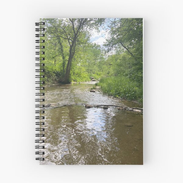 Item preview, Ledges Iowa State Park River designed and sold by Pocketsodders.