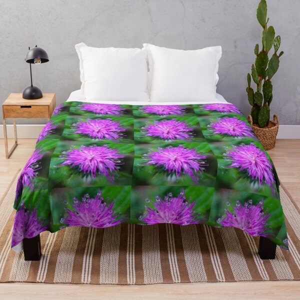 Artikelvorschau, Distel mit Regentropfen Donegal Naturliebhaber entworfen und verkauft von eddiebarronshop.