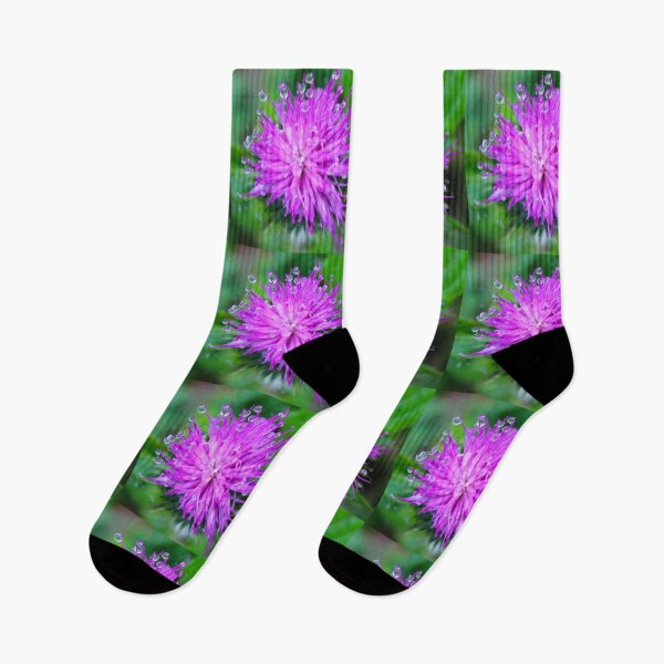 Artikelvorschau, Distel mit Regentropfen Donegal Naturliebhaber entworfen und verkauft von eddiebarronshop.