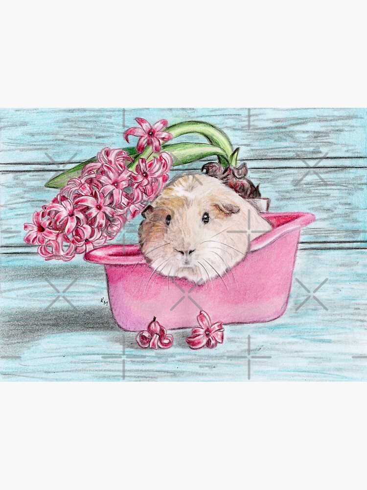 "Guinea pig bathing with pink hyacinth" Sticker for Sale by