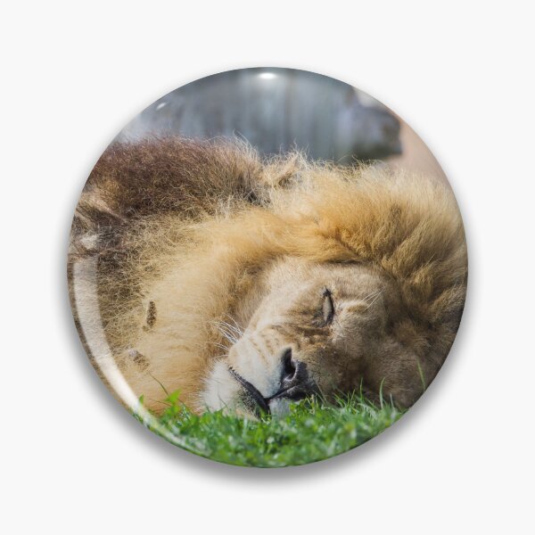 Item preview, Sleeping Lion designed and sold by LFPPhotography.