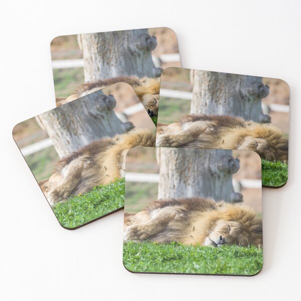 Item preview, Sleeping Lion designed and sold by LFPPhotography.