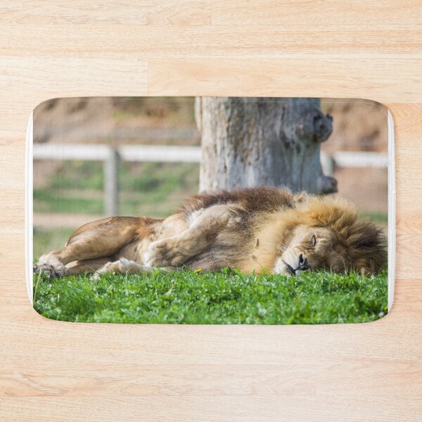 Item preview, Sleeping Lion designed and sold by LFPPhotography.