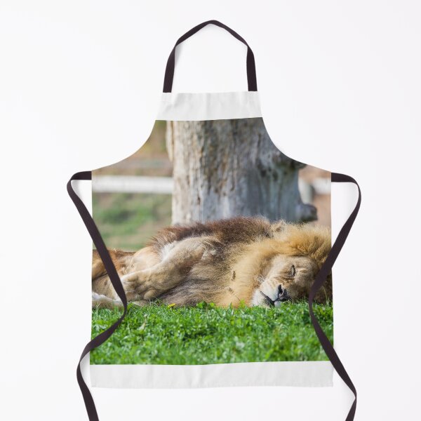 Item preview, Sleeping Lion designed and sold by LFPPhotography.