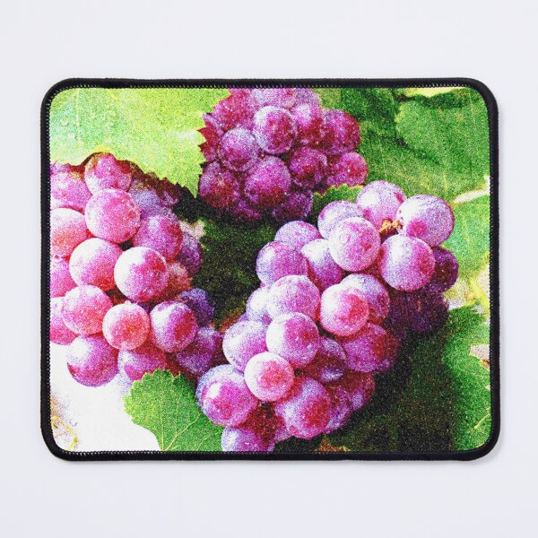 Item preview, "Grapes Fruit Plant" Cute Photo. Buy Now designed and sold by Health And Fitness Posts e-Store.