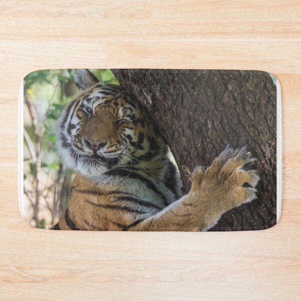 Item preview, Tiger Cuddling his Tree designed and sold by LFPPhotography.