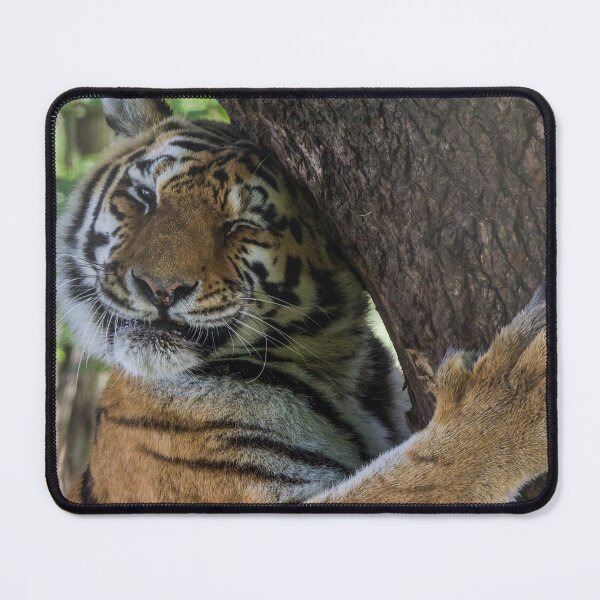 Item preview, Tiger Cuddling his Tree designed and sold by LFPPhotography.