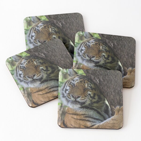 Item preview, Tiger Cuddling his Tree designed and sold by LFPPhotography.