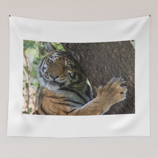 Item preview, Tiger Cuddling his Tree designed and sold by LFPPhotography.