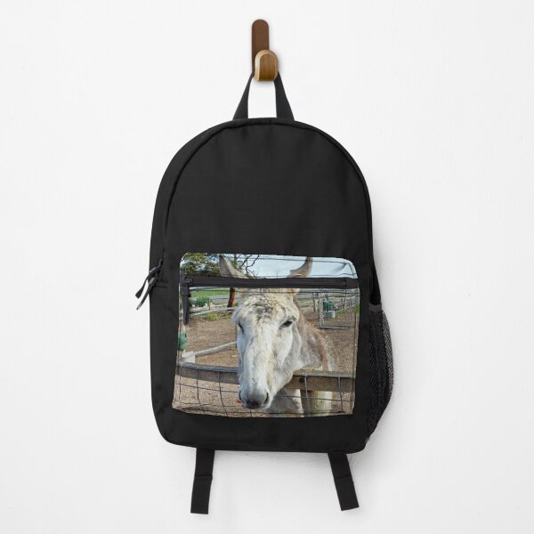 Vista previa del artículo con la obra «"Eddie el burro: un cuento feliz de zanahorias deliciosas"», diseñado y vendido por A-Work-Of-Art.